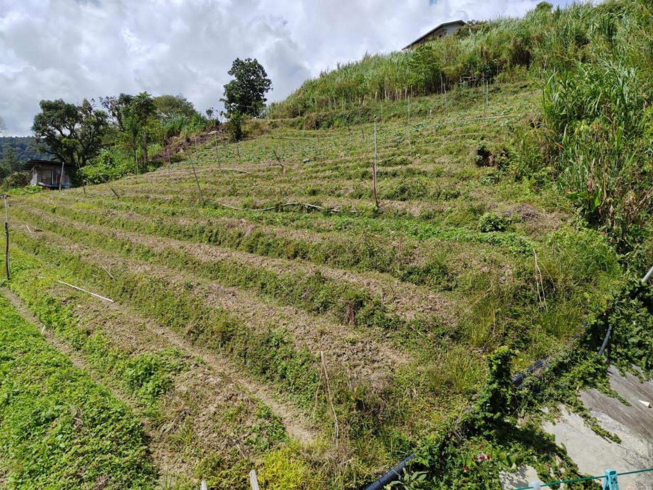 Kundasang Mount Garden エクステリア 写真