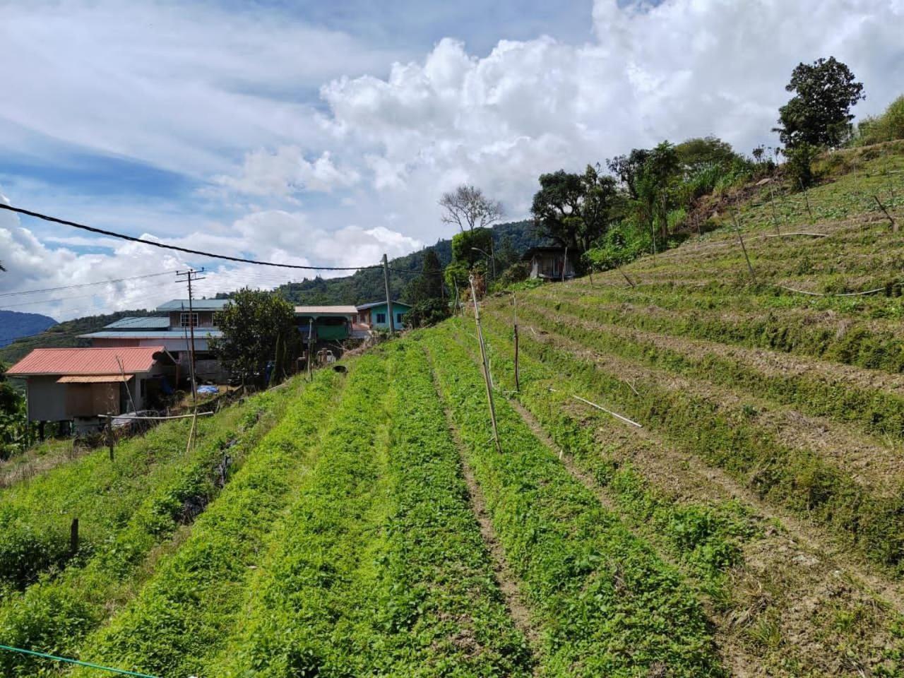 Kundasang Mount Garden エクステリア 写真